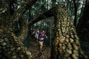 BIB: 
                            <button type="button" onclick="openModal(25676085)" class="btn btn-primary btn-sm float-right btn-popup" data-toggle="modal" data-target=".modal-high-quality">
                        <i class="fas fa-shopping-cart"></i> Add to Cart
                    </button>
                                            <button type="button" onclick="isThisMe(25676085, true)" class="btn btn-success btn-sm float-right btn-popup btn-isme hidden" data-toggle="tooltip" data-placement="bottom" title="นี่คือรูปของคุณใช่ไหม คลิกที่นี่เพื่อเอาเข้าอัลบั้ม">
                        <i class="fas fa-plus"></i> Add to album
                    </button>
                    <button type="button" onclick="isThisMe(25676085, false)" class="btn btn-warning btn-sm float-right btn-popup btn-isnotme hidden">
                        <i class="fas fa-ban"></i> Remove from album
                    </button>